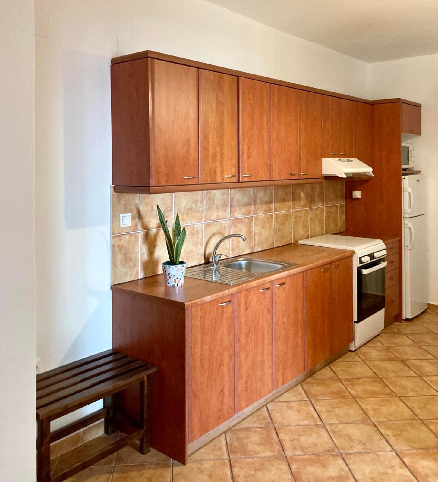 Syrou Lotos Studios & Apartments (Adults Only) 金尼昂 客房 照片